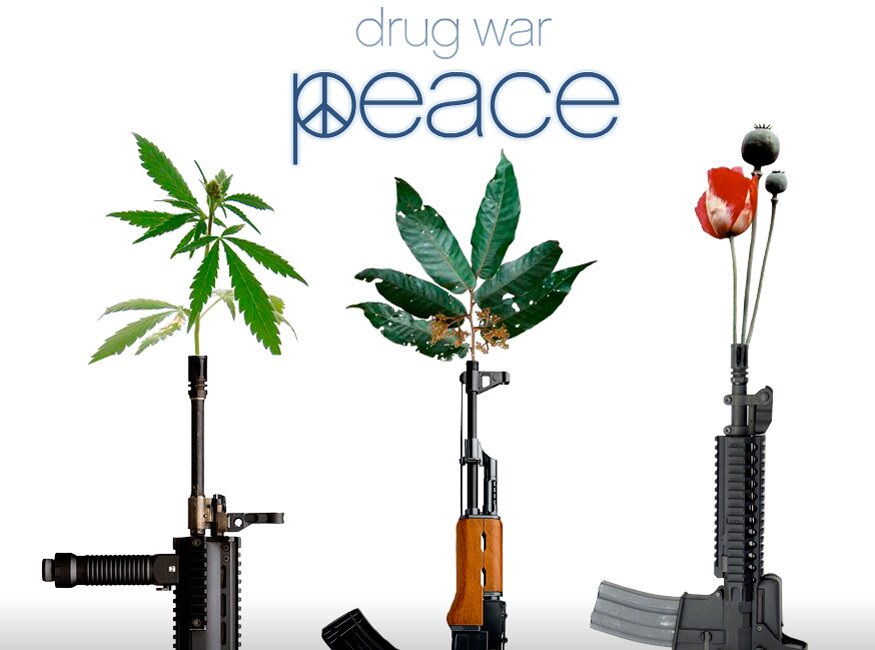 drug war peace